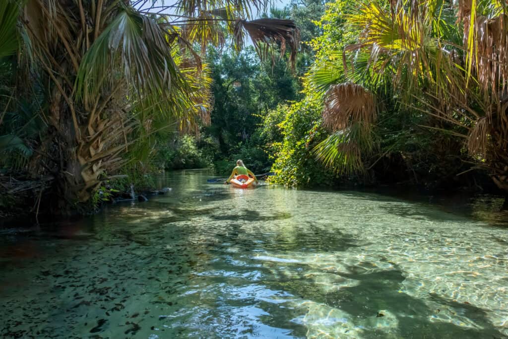 Kayaking on Springs Florida