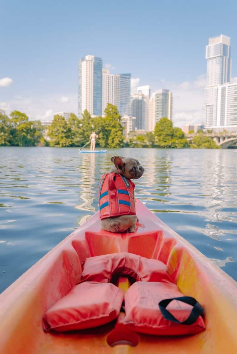 Dog Paddling: The Essential Guide To Kayaking With Your Dog