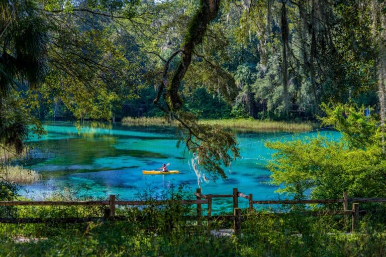 Kayaking In Kings Landing, Florida: A Guide To The Best Spots