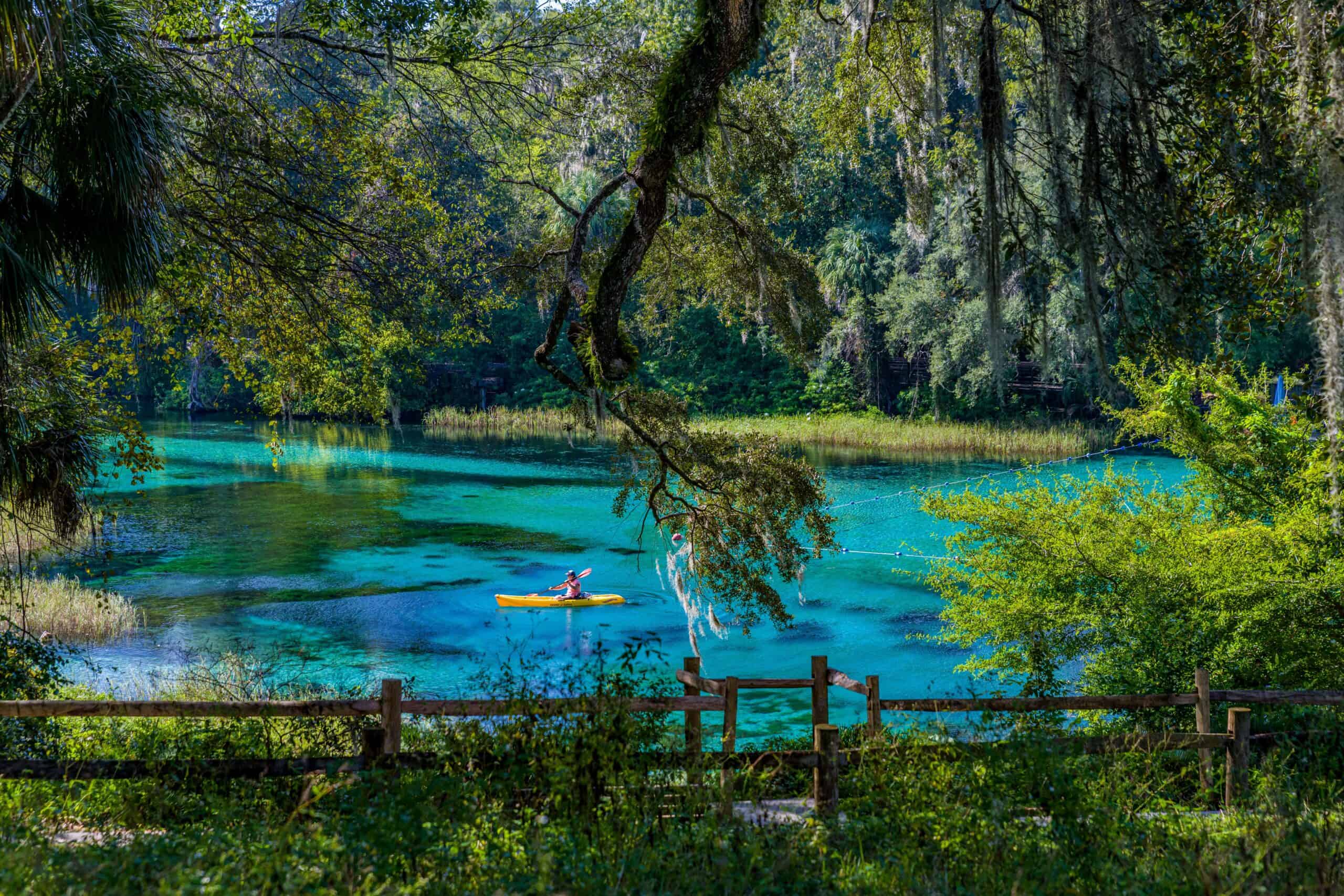 Kayaking on Springs Florida